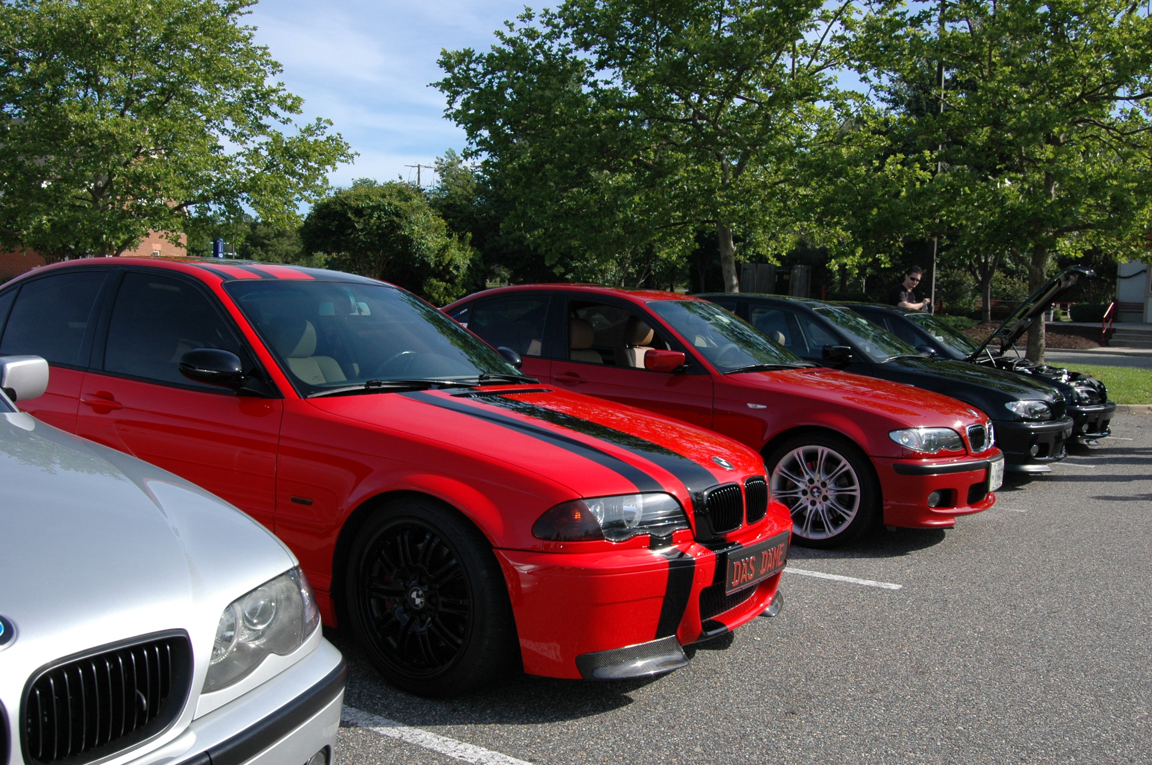 Name:  DSC_9697.JPG
Views: 18992
Size:  864.0 KB
