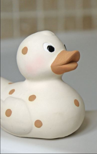 Name:  duck.JPG
Views: 407
Size:  23.1 KB