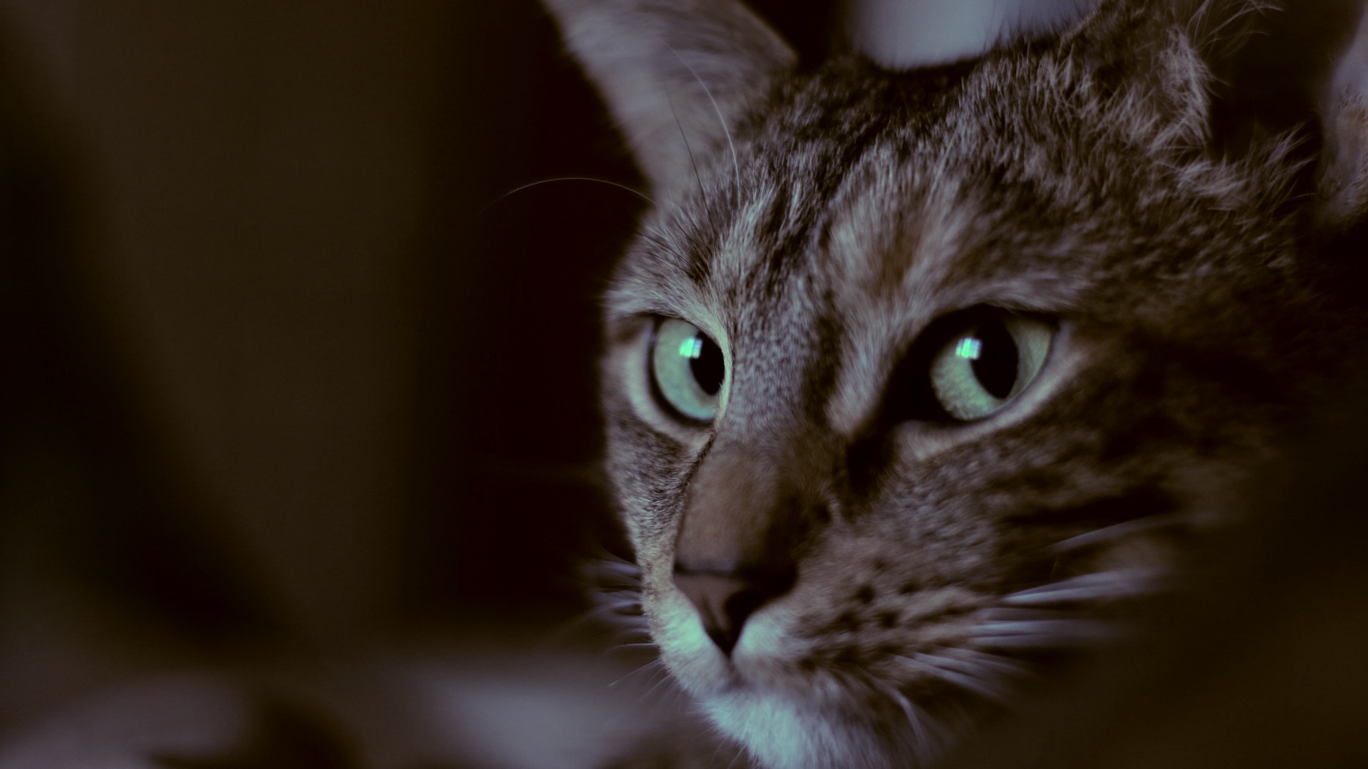 Name:  Photograding practice boobah.jpg
Views: 393
Size:  226.7 KB
