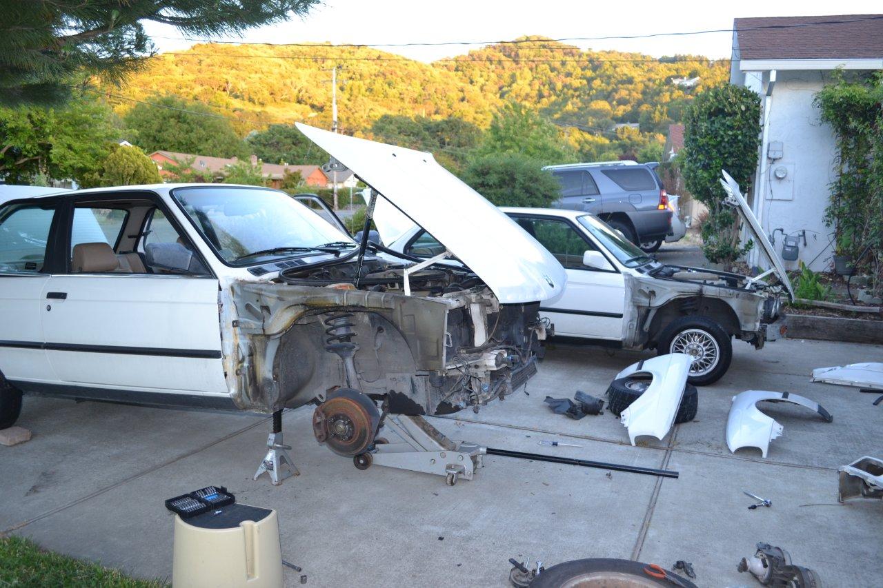 Name:  Time for a transplant (4).jpg
Views: 835
Size:  197.0 KB