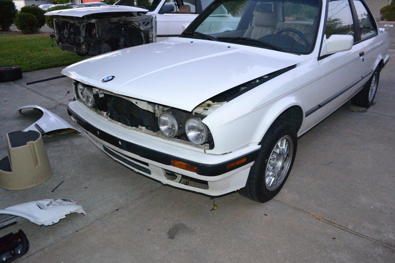 Name:  Time for a transplant (11).jpg
Views: 780
Size:  172.1 KB