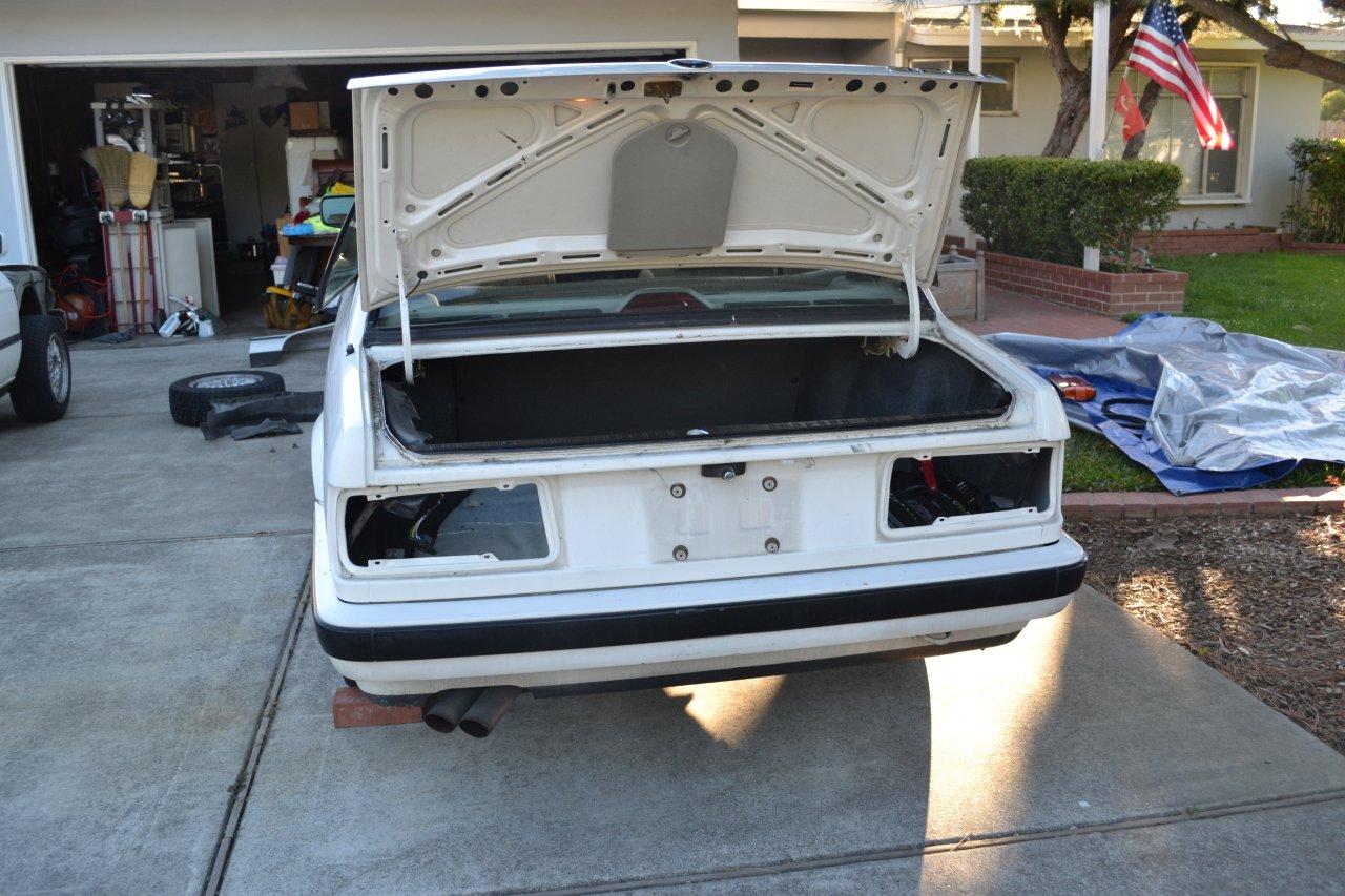 Name:  Time for a transplant (2).jpg
Views: 753
Size:  179.0 KB
