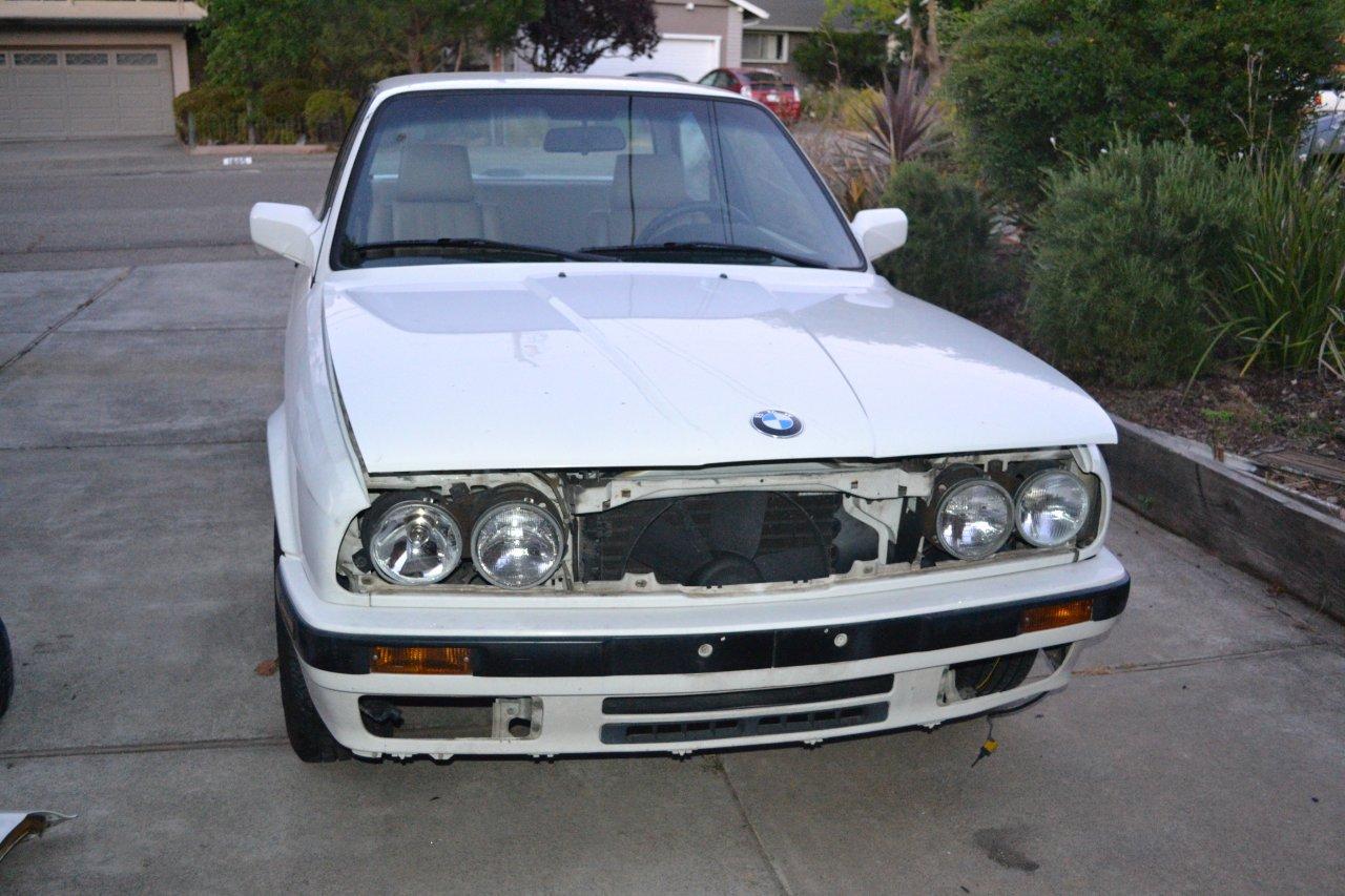 Name:  Time for a transplant (8).jpg
Views: 802
Size:  166.0 KB
