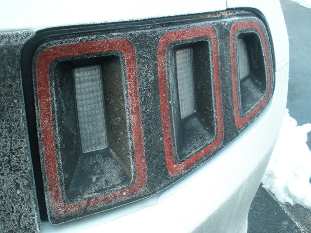 Name:  Rental2013Mustang_FrostyTaillight_LowResReally.JPG
Views: 217
Size:  160.7 KB