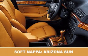 Name:  int_soft_nappa_arizona_sun.jpg
Views: 446
Size:  15.4 KB